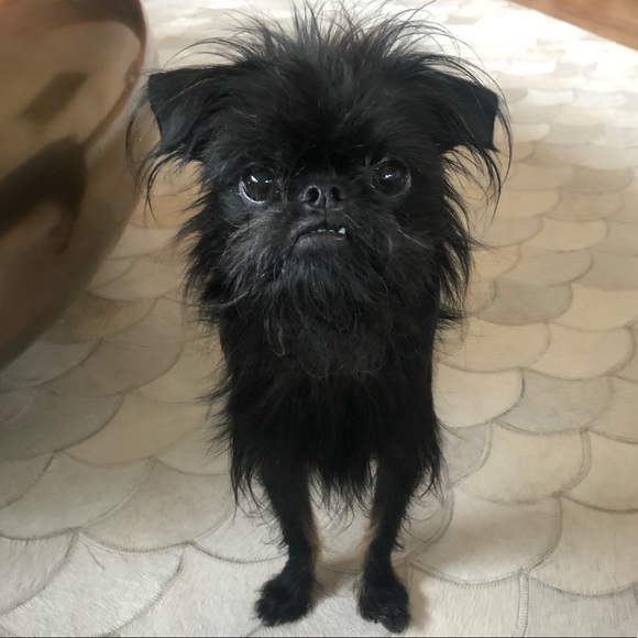 Meet The Seller - Caroline - Picture 5 of 7